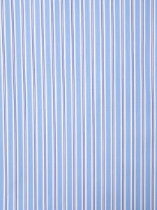 Stripe Broad L/S Shirt (THOMAS MASON)